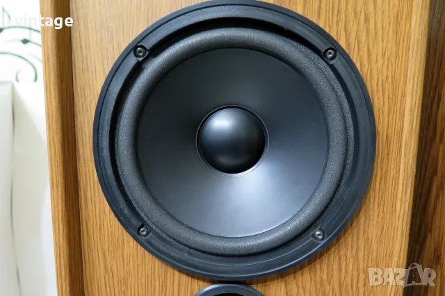 T+A TRITON TS 1E, снимка 2 - Тонколони - 47688281