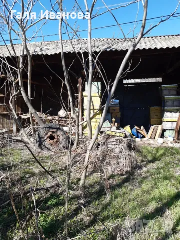 Два парцела в с.Оряховица