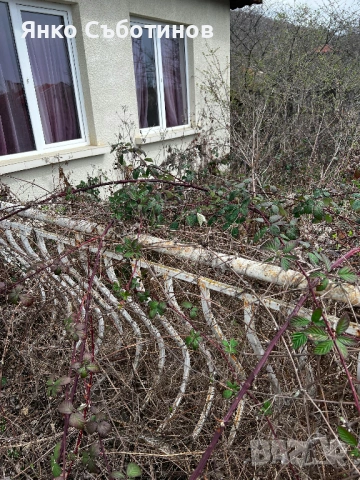 Почистване на дворове, парцели и терени в област Бургас, снимка 3 - Други почистващи услуги - 53492806