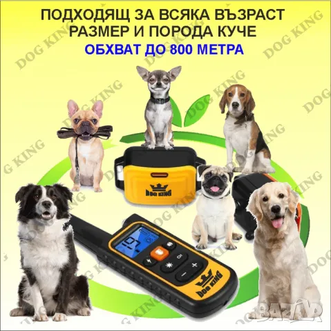 Електронен нашийник