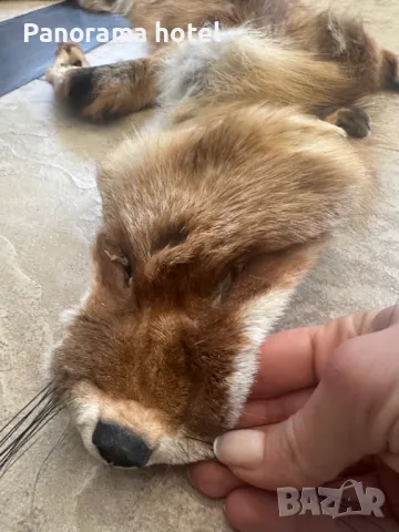 естествена кожа с косъм , снимка 8 - Други стоки за дома - 50078309