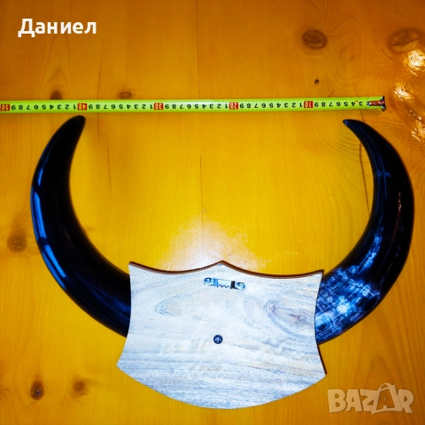 Декорация от рога на воден бивол, снимка 12 - Декорация за дома - 52028966