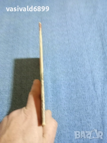 Даниела Мичева - Пазете се, полтъргайст , снимка 2 - Други - 53512853