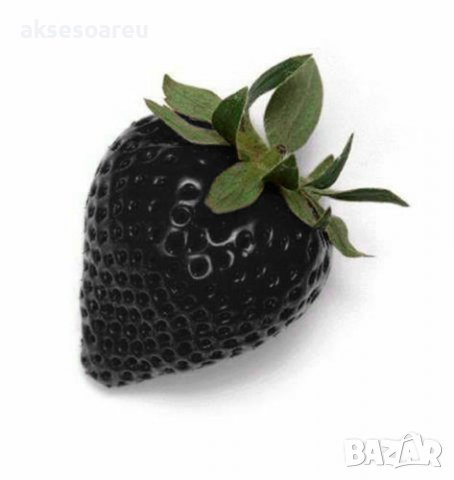 200 семена от плод черна ягода черни ягоди органични плодови ягодови семена от вкусни ягоди отлични , снимка 9 - Сортови семена и луковици - 37706890