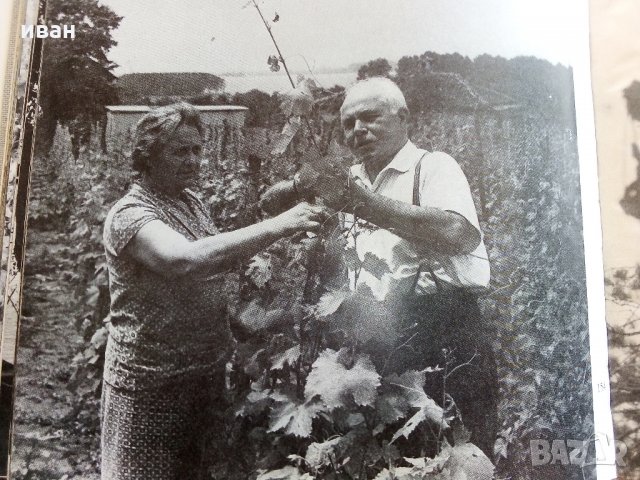 От Ком до Дунав - С.Гергов,З.Димитров,Й.Тодоров , снимка 13 - Енциклопедии, справочници - 33542250