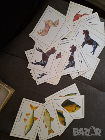 Стари календарчета от различни години, снимка 4 - Колекции - 43341773