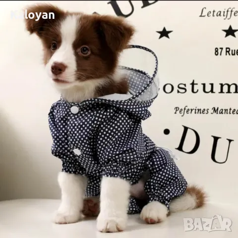 Дрешка за куче