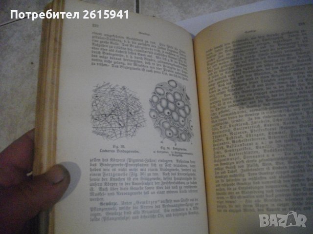 1913г-Антикварен Медицински Стар Учебник-"Platen-Die Neue Hellmethod"-Отличен, снимка 11 - Антикварни и старинни предмети - 39469466