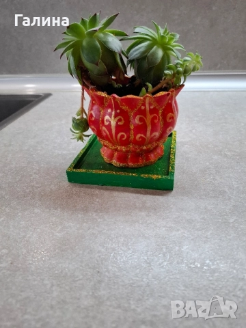 Декоративна саксийка с цвете, снимка 5 - Градински цветя и растения - 51673812