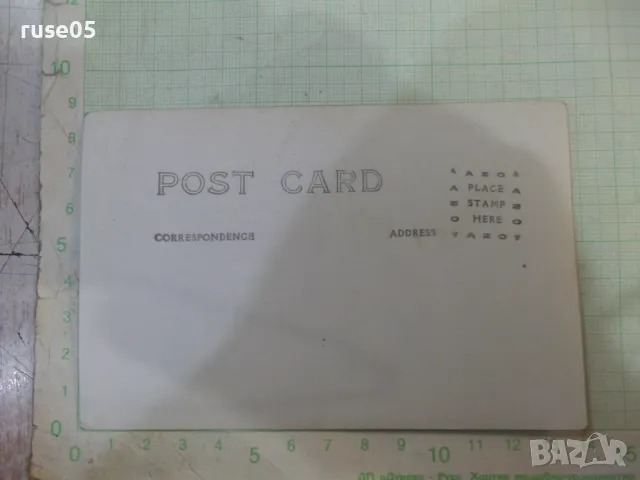 Снимка стара на трима мъже на пейка - 1, снимка 2 - Колекции - 47994027