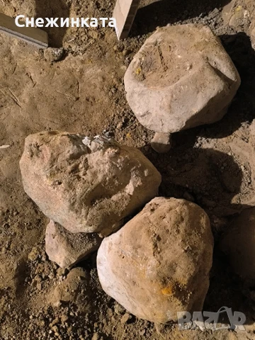 Подарявам големи камъни за алпинеум/декорация, снимка 3 - Други - 51127367