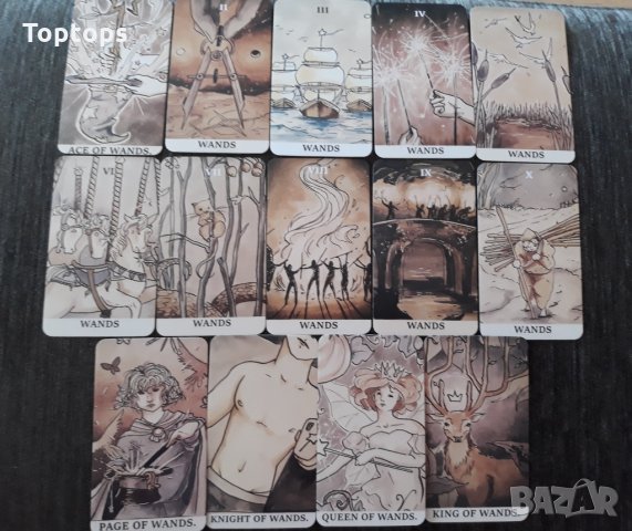 Таро карти, различни от масовите: Ink Witch Tarot & Linestrider Tarot, снимка 17 - Карти за игра - 33677966