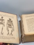 Антикварна находка Книга от 1921 г. - Жената като семеен лекар, снимка 12