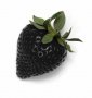 200 семена от плод черна ягода черни ягоди органични плодови ягодови семена от вкусни ягоди отлични , снимка 9