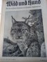   Wid and hund немско ловджийско списание 1930 - 1937 г, снимка 16