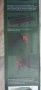 Сгъваем резервоар за дъждовна вода 250 л. / Parkside, снимка 2