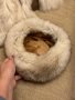 Палто от лисица, снимка 12