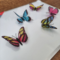 Пеперуда с магнитче, снимка 2 - Други - 44893156