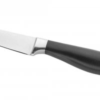 Нож PINTINOX PROFESSIONAL 10 сm, снимка 1 - Прибори за хранене, готвене и сервиране - 37922100