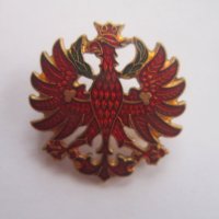 Невероятен бронзов знак значка орел емайл, снимка 4 - Колекции - 36598011