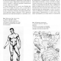 Човешкото тяло Учебник по пластична анатомия Годфрид Бамес , снимка 3 - Енциклопедии, справочници - 28089549