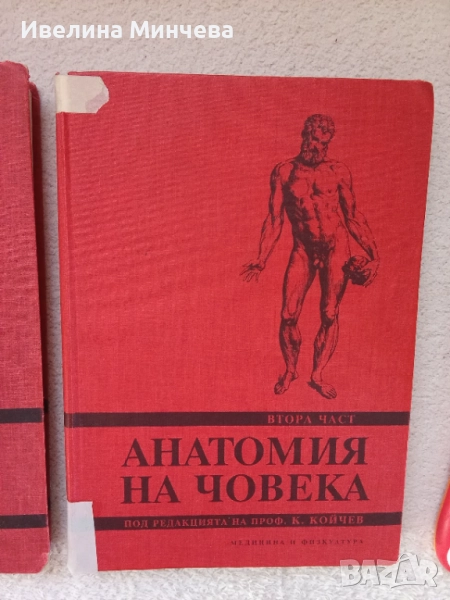 Анатомия на човека на проф Койчев, снимка 1