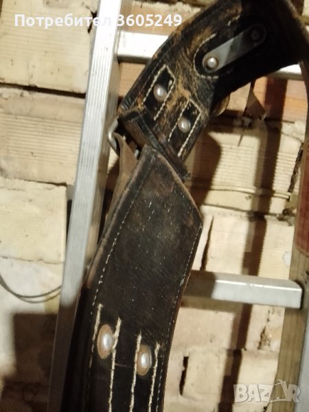 колан, снимка 1