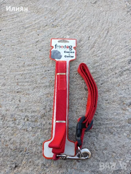 Повод с нашийник , снимка 1