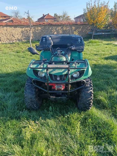 гризли, снимка 1