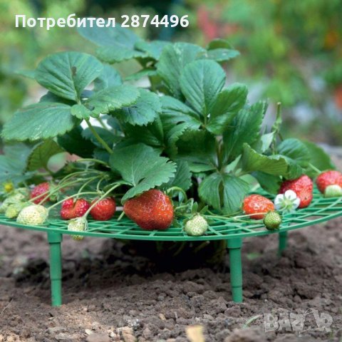 3700 Стойка за ягоди, снимка 3 - Други - 37875599