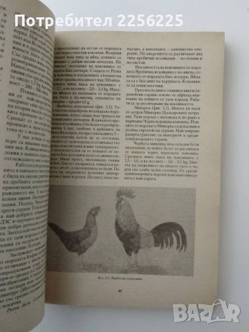 Птицевъдство , снимка 4 - Специализирана литература - 49616413
