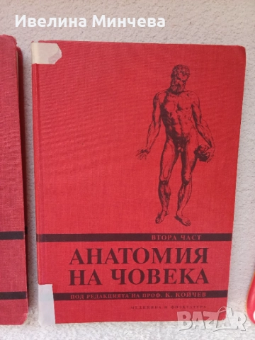 Анатомия на човека на проф Койчев