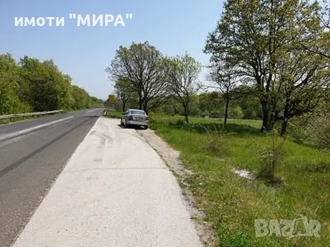 СТОПАНСКИ ДВОР в с. Козлец, обл. Хасково, снимка 2 - Парцели - 49435073