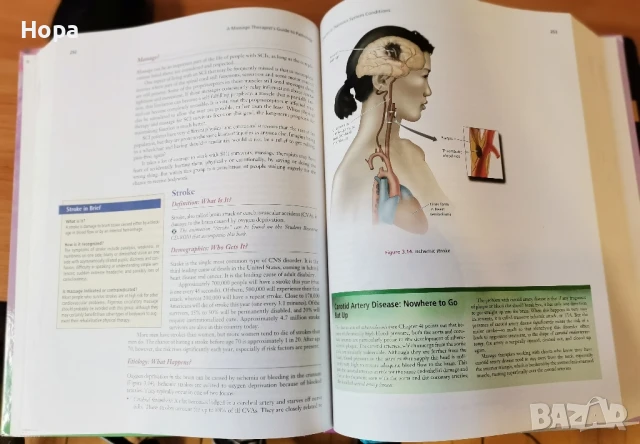Учебници на английски език за масажисти, снимка 10 - Чуждоезиково обучение, речници - 51348706