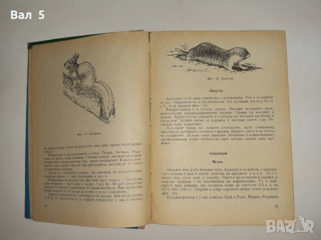 Наръчник на ловеца и риболовеца - Н . Ботев и др. 1974 г., снимка 5 - Специализирана литература - 33181858