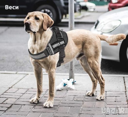 Нагръдник за куче - размери S, M, L, XL, XХL, снимка 7 - За кучета - 28233365