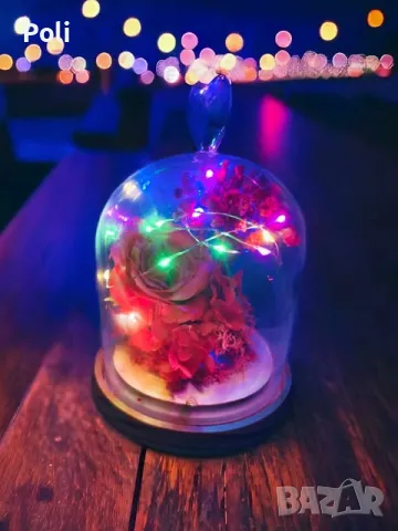 Роза в стъкленица подходяща за всяка дама, снимка 1