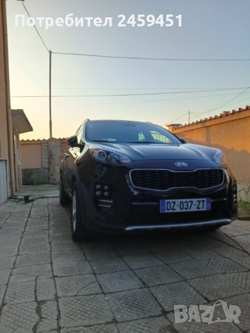 Професионално пастиране, снимка 13 - Пастиране - 45295856