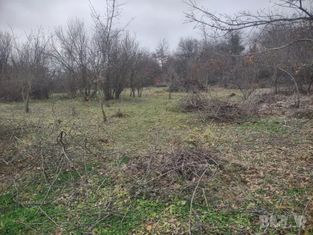 Услуги за градината и двора , снимка 3 - Други - 49620450