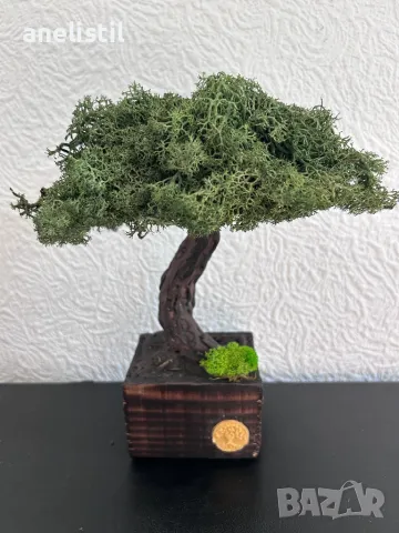 Бонсай със скандинавски мъх, снимка 3 - Декорация за дома - 49378365
