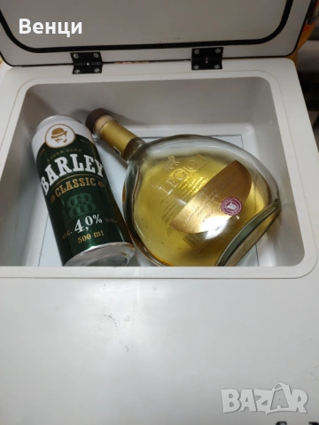 Мини охладител/отоплител на 12в.-220в.