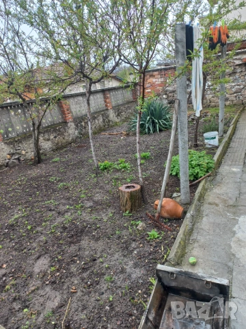 От собственик 2 парцела с ремонтирана къща! Заедно или отделно!, снимка 12 - Къщи - 49743685