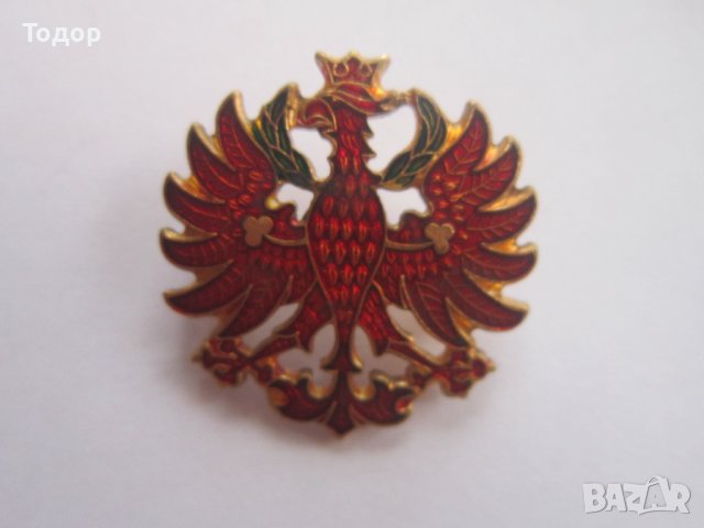 Невероятен бронзов знак значка орел емайл, снимка 4 - Колекции - 36598011