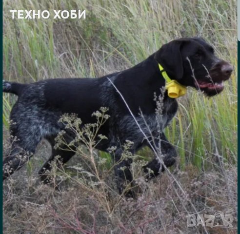ЕЛЕКТРОНЕН НАШИЙНИК- БИЙПЪР ЗА ОБУЧЕНИЕ НА КУЧЕ ,ВОДОУСТОЙЧИВ, снимка 9 - За кучета - 33247461