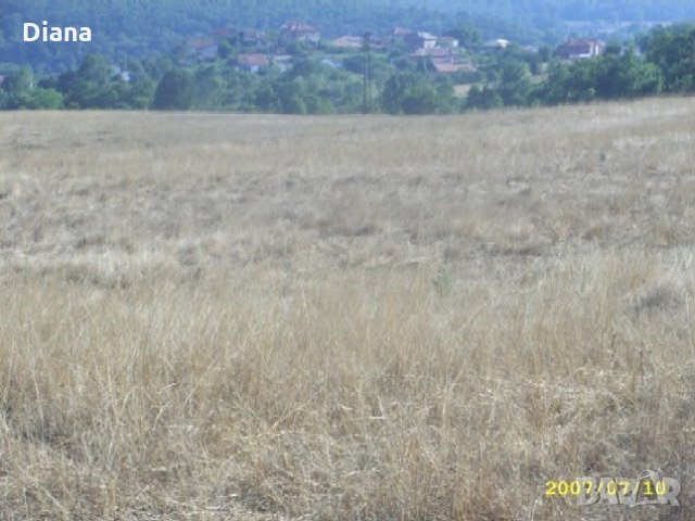 Парцел 6400кв.м. на 12 км от Приморско - с.Ясна поляна, снимка 4 - Парцели - 33588306