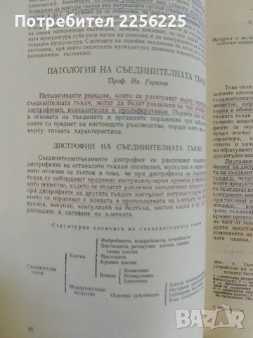 Ревматология , снимка 2 - Специализирана литература - 47493404