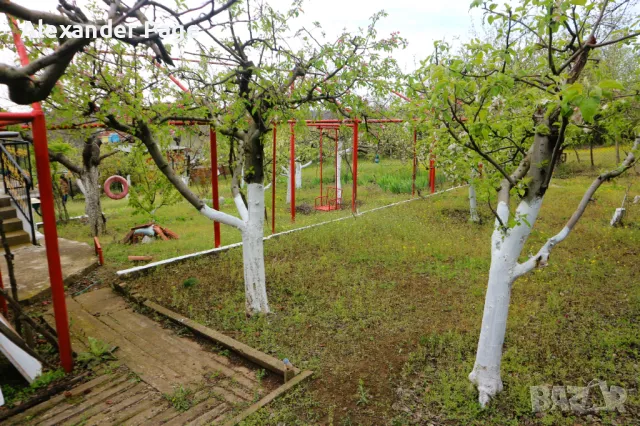 Вила с двор в гр. Русе, кв. Касева Чешма, Акациите, снимка 17 - Къщи - 50150490