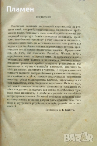 Животньiе паразитьi и болезни Э. К. Брандтъ /1873/, снимка 2 - Антикварни и старинни предмети - 53188537