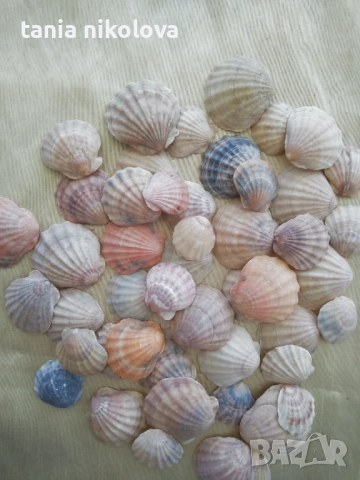 Миди, снимка 5 - Декорация за дома - 45647430