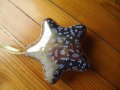 морска звезда, снимка 1 - Коледни подаръци - 43457864